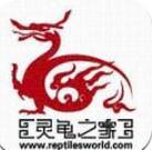 灵龟之家