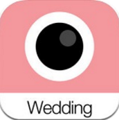 Analog Wedding