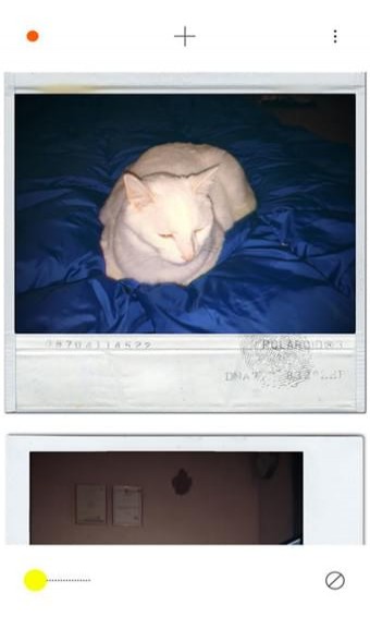 PLOT(图3)