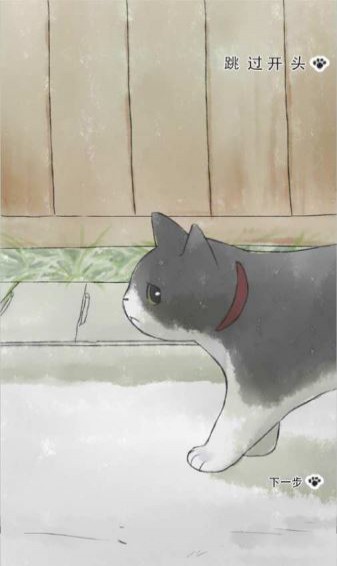 迷途猫(图1)