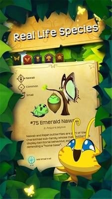 蝴蝶之星夜2(图2)