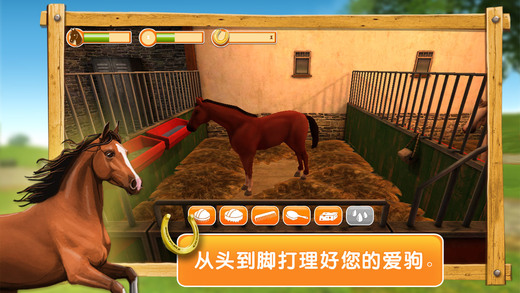 我的骏马3D破解游戏(图二)