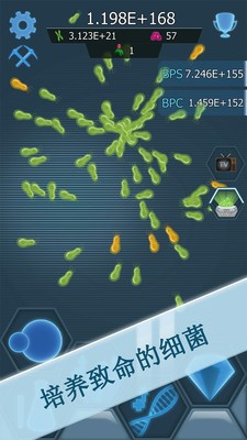 瘟疫细菌(图1)