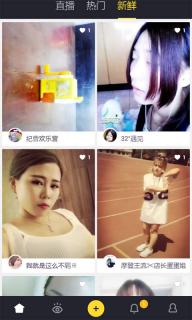 热猫(图2)