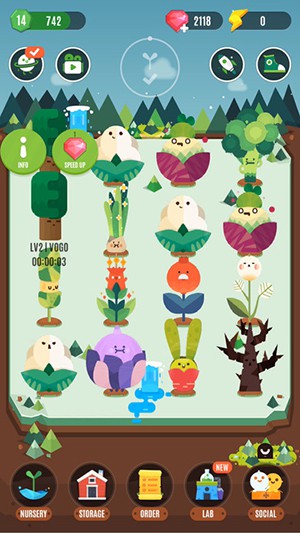 口袋植物(图3)
