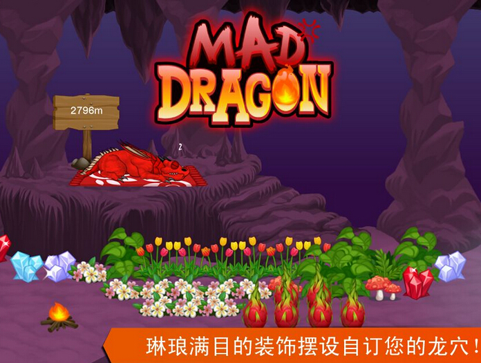 疯狂的巨龙(图1)