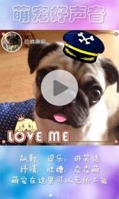 宠物说(图1)