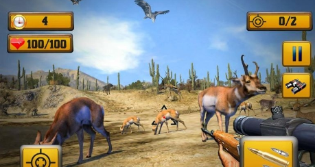 Wild Animal Shooting(图4)
