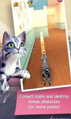 猫咪酷跑破解游戏(图三)