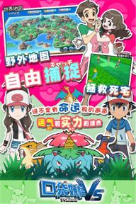口袋妖怪VS(图1)