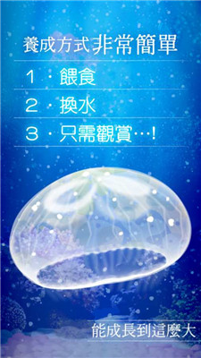 治愈系海蜇养成游戏(图1)