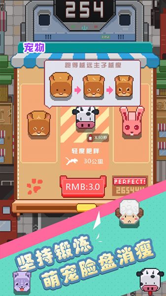 主子的减肥日记(图2)