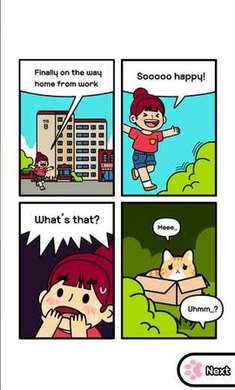 驯服流浪猫破解游戏(图二)