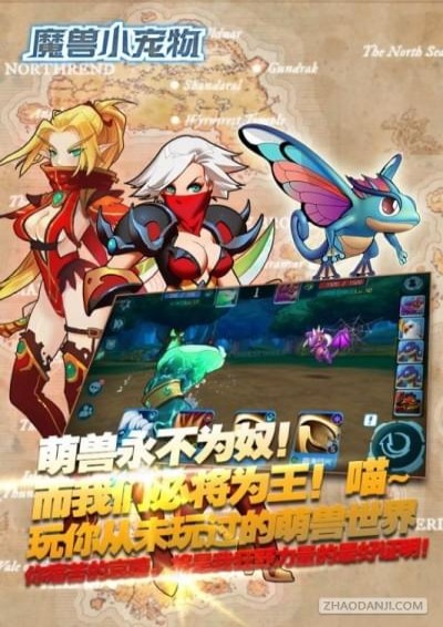 魔兽小宠物(图3)