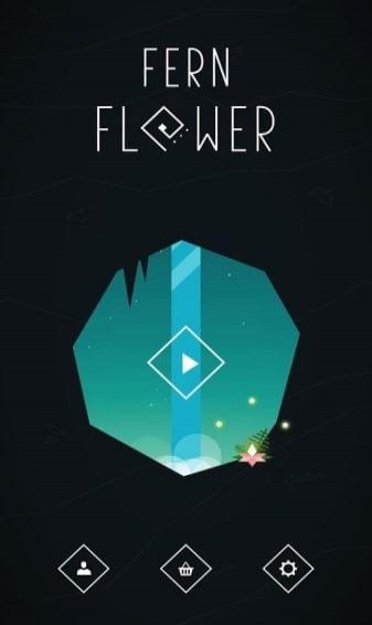 弗恩花(图4)
