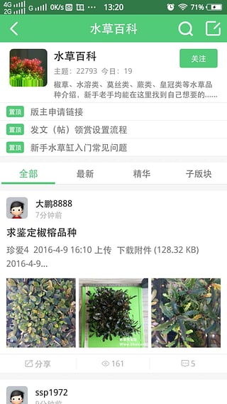 水草秀(图3)