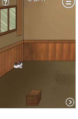 我的猫咪找不到了(图1)