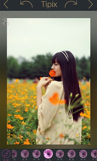 Tipix(图2)