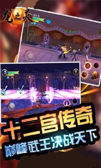 龙之灵(图1)