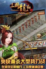 三国龙翔传(图1)
