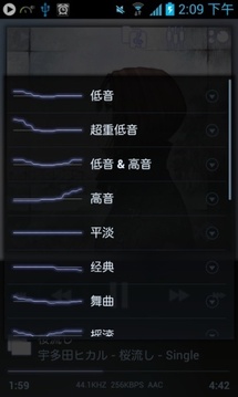 PowerAMP音乐播放器(图3)
