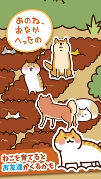 猫咪田园(图3)