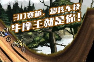 3D牛摩王破解游戏(图一)