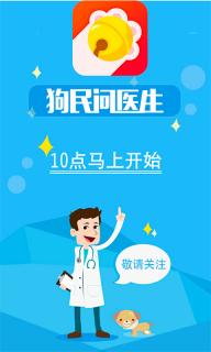 铃铛宠物(图1)