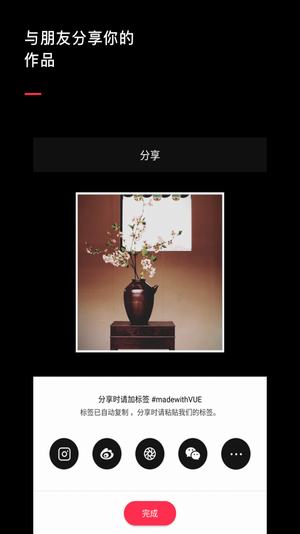 VUE視頻(圖4)
