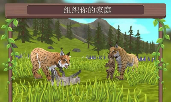 野生动物争霸(图1)