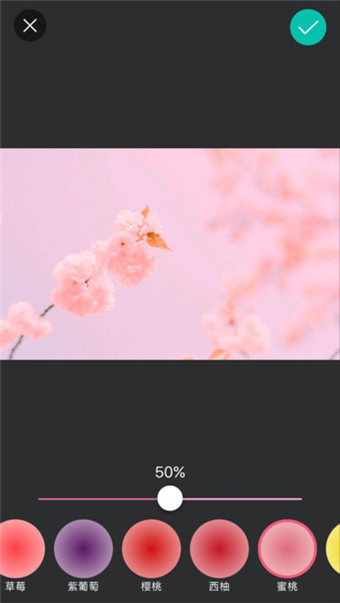 Taco粉色相机(图1)