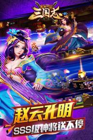 最后一个三国志(图1)
