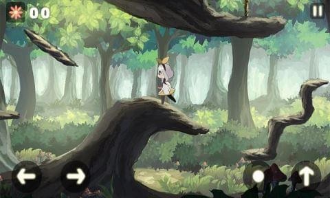 光之精华(图2)
