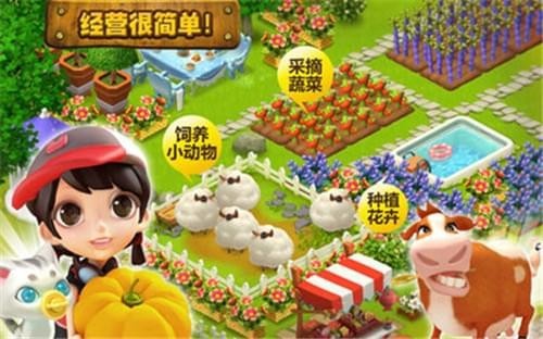 开心岛(图1)