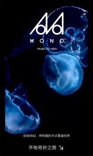 MONO(图2)