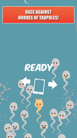 Little Tadpole(图3)