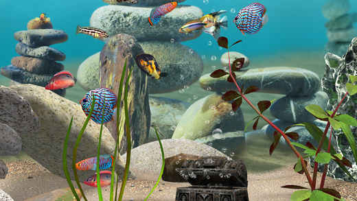 我的湖3D：水族館破解游戲(圖三)
