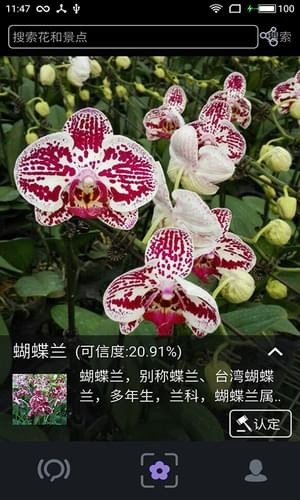 植物拍照识别(图3)