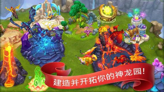 龙的世界(图1)