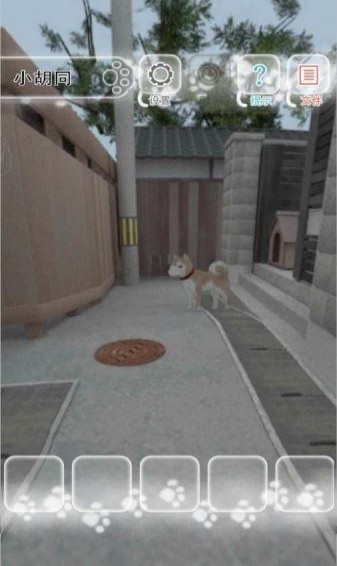 迷途猫(图3)
