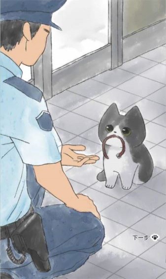 迷途猫(图2)