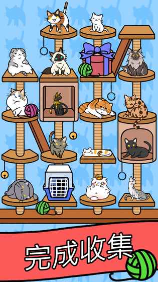 猫咪公寓(图2)