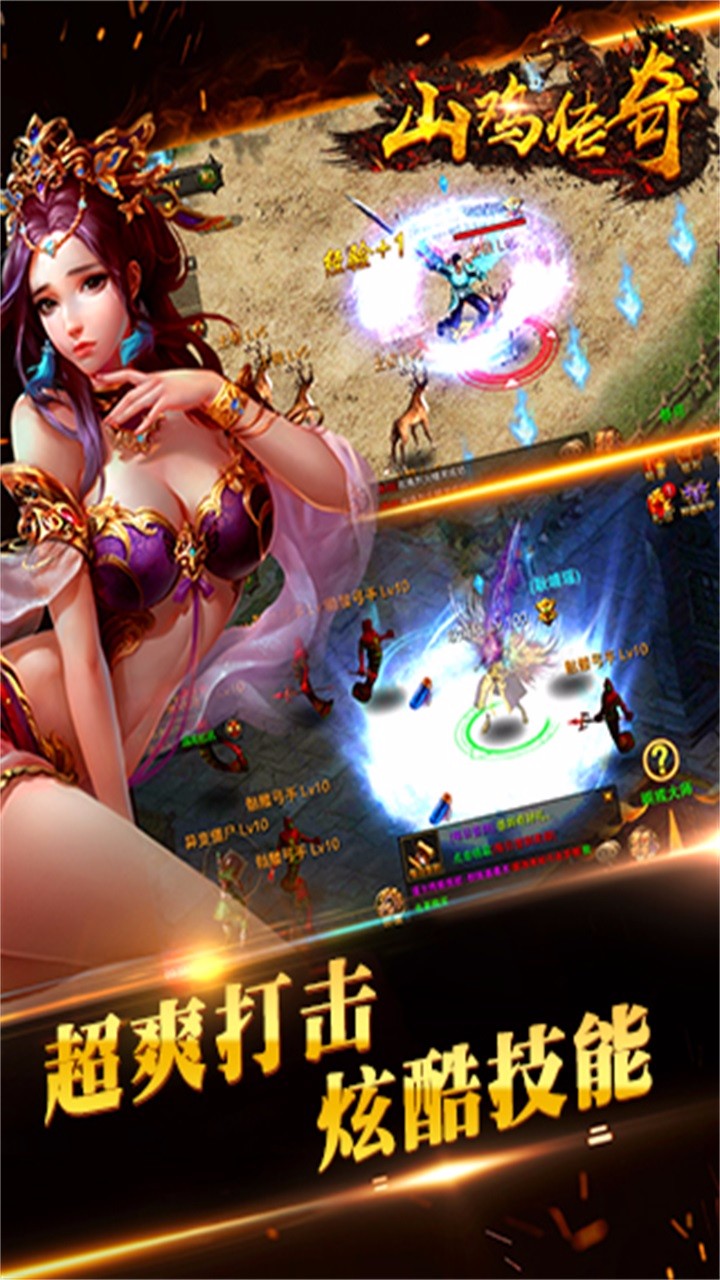 山鸡传奇(图4)