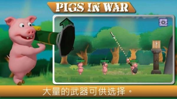 战争中的猪(图3)