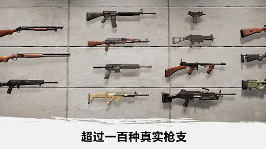 绝地吃鸡手游(图2)