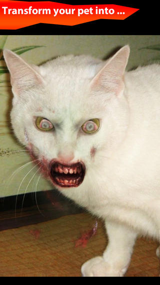 变脸僵尸破解游戏(图三)