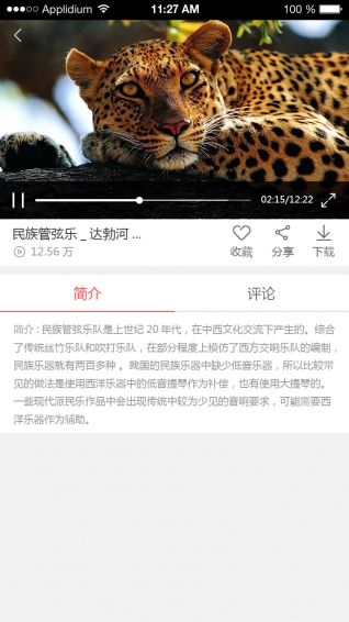 带鱼舞台(图1)
