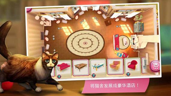 猫舍(图4)