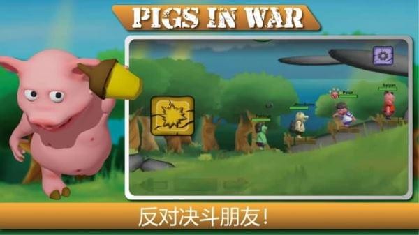 战争中的猪(图4)