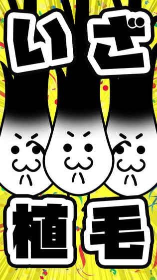 不能再秃下去了(图3)